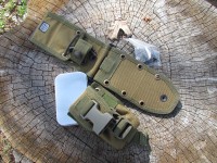 ESEE MOLLE Seperate back and Pouch OD photo
