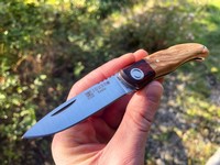 Joker Koala Red Laminated/Olivewood Photo