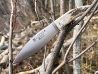 Joker Becada Stag Photo