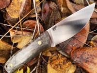 Brisa Skinner 90 ELMAX Black Curly Birch Photo