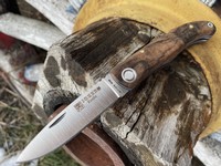 Joker Koala Walnut Photo