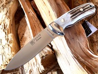 Joker Corzo Stag Antler Photo