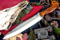 Barkriver Knives Pig Sticker CPM 154 Desert Ironwood Black liner Mosaics #2 photo