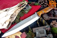 Barkriver Knives Pig Sticker CPM 154 Desert Ironwood Black liner Mosaics #5 photo