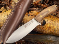 Joker Canadiense Walnut Photo