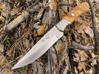 Joker Ibice Olivewood photo