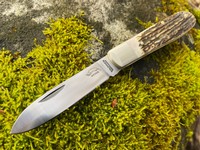 Otter Buckhorn 166 Pocket Knife Photo