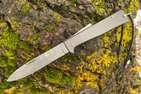 Otter Mercator Damascus Photo