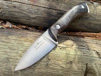 Otter Milan Stabilized Poplar N690 Photo