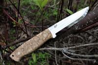 Brisa Trapper 115 Curly Birch ELMAX Scandi Photo