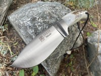 Joker Montes Stag Photo