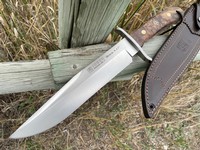 Joker Bowie 9.45 Walnut Photo