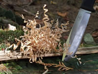 Fallkniven S1 Forest Knife